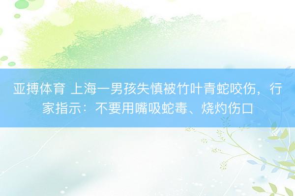 亚搏体育 上海一男孩失慎被竹叶青蛇咬伤，行家指示：不要用嘴吸蛇毒、烧灼伤口