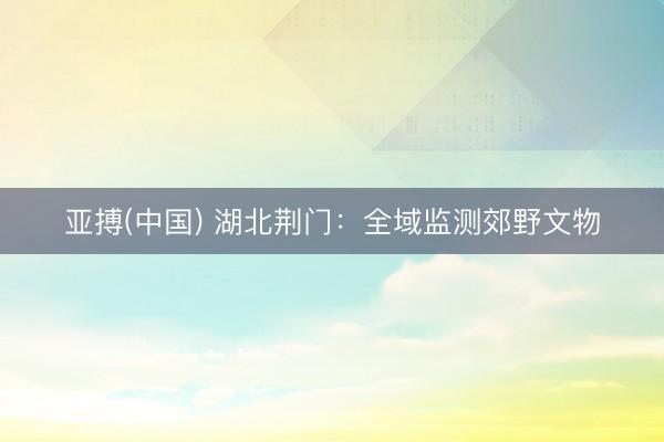 亚搏(中国) 湖北荆门：全域监测郊野文物