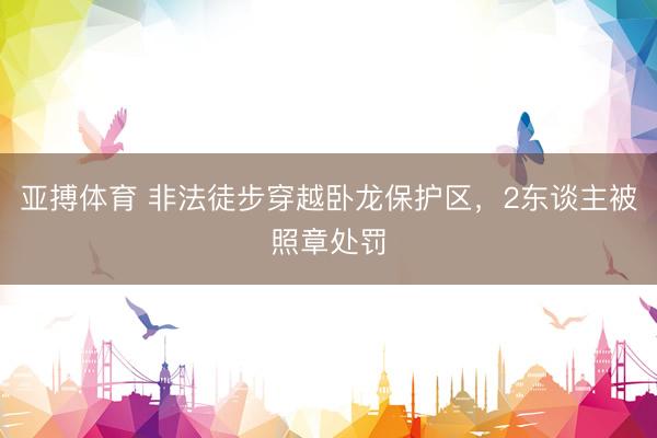 亚搏体育 非法徒步穿越卧龙保护区,2东谈主被照章处罚