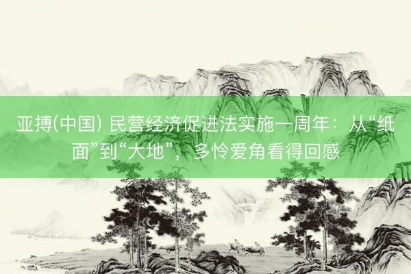 亚搏(中国) 民营经济促进法实施一周年：从“纸面”到“大地”，多怜爱角看得回感