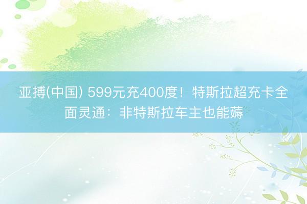 亚搏(中国) 599元充400度！特斯拉超充卡全面灵通：非特斯拉车主也能薅