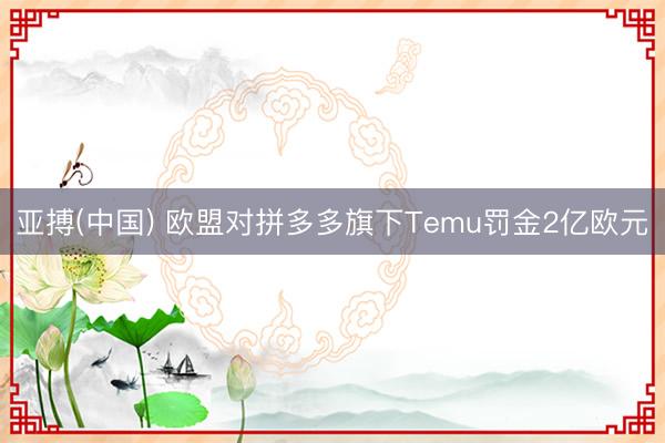 亚搏(中国) 欧盟对拼多多旗下Temu罚金2亿欧元