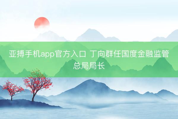 亚搏手机app官方入口 丁向群任国度金融监管总局局长