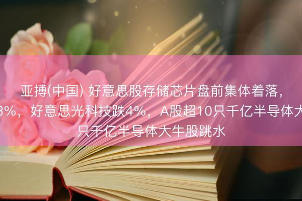 亚搏(中国) 好意思股存储芯片盘前集体着落，英特尔跌3%，好意思光科技跌4%，A股超10只千亿半导体大牛股跳水