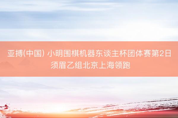 亚搏(中国) 小明围棋机器东谈主杯团体赛第2日 须眉乙组北京